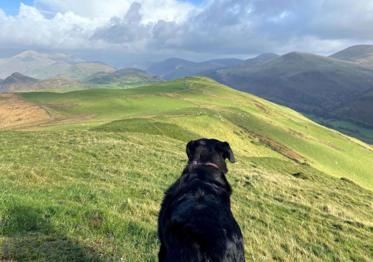 Vila The Barn At Geufron Farm - Dog Friendly - Nr Tywyn Bryn-crug Exteriér fotografie